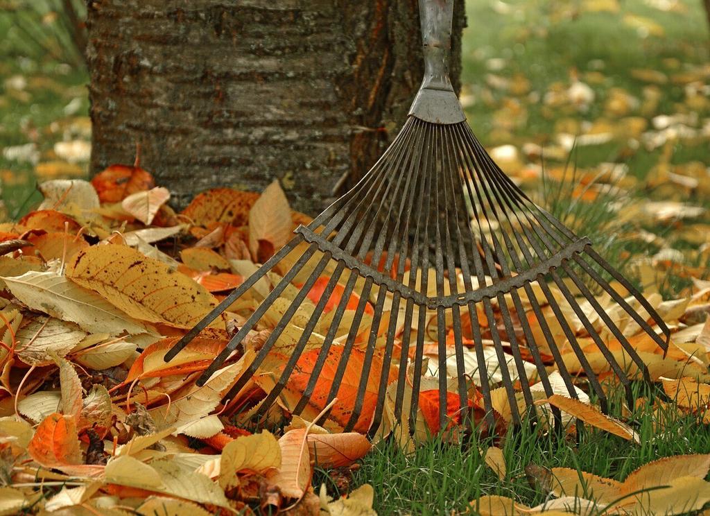  by Clean Pro Gutter Cleaning Columbia MD