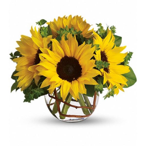  by Williams Flower & Gift - Puyallup Florist