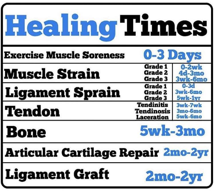  by Mina Iskander, Chiropractor