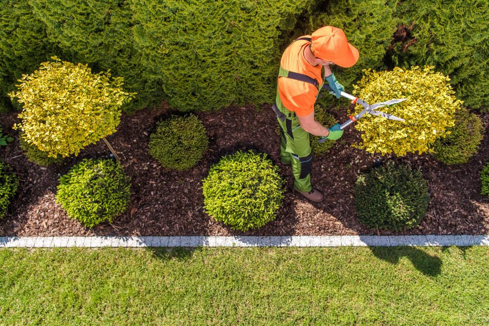  by DFW Landscaping Service