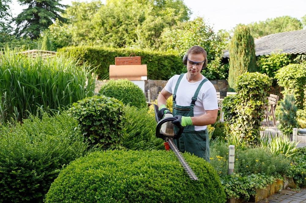  by DFW Landscaping Service
