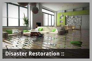  by America's Restoration Services