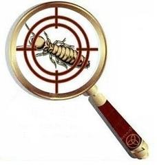 Pestfinders Pest and Termite Services