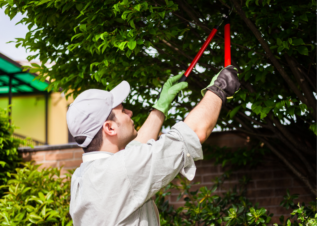 Map and Directions to Lancaster Tree Service in Lancaster, PA 17602