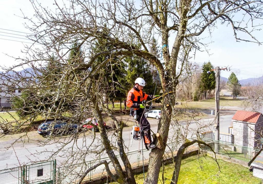  by Downers Grove Tree Service