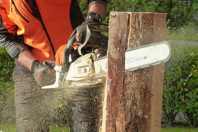  by Downers Grove Tree Service