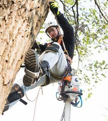 Downers Grove Tree Service