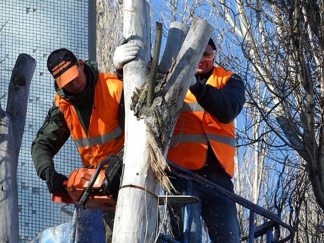  by Fishers Tree Service