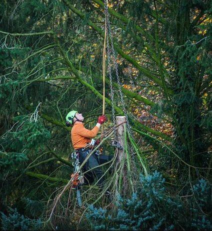  by Fishers Tree Service
