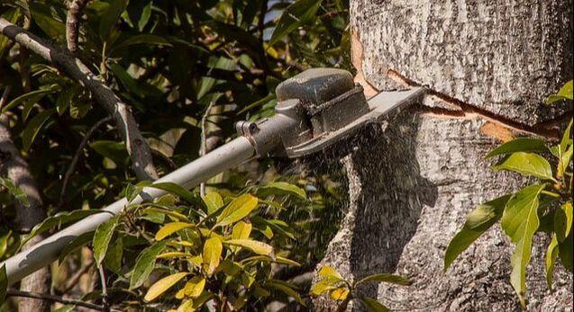  by Fishers Tree Service