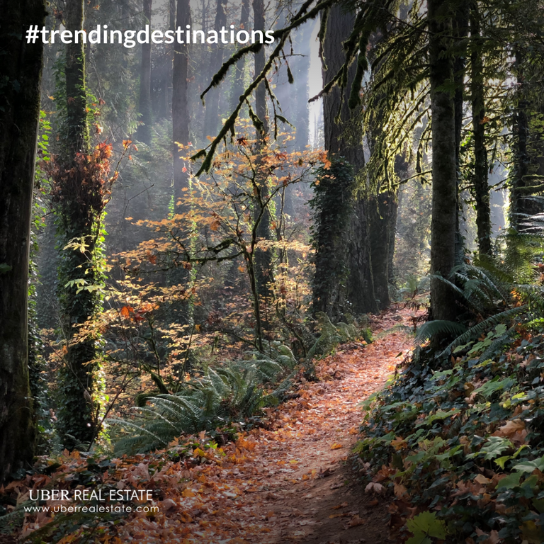 Uber San Francisco Airport To Menlo Park