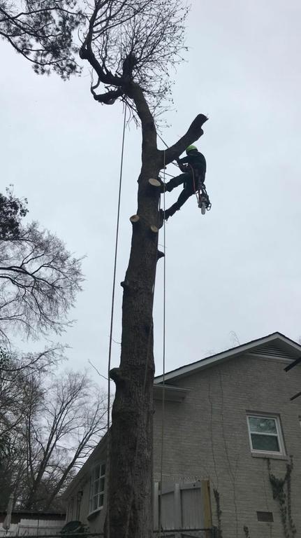  by Gomez Tree Service LLC