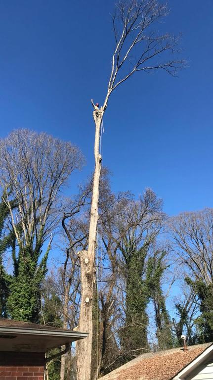  by Gomez Tree Service LLC
