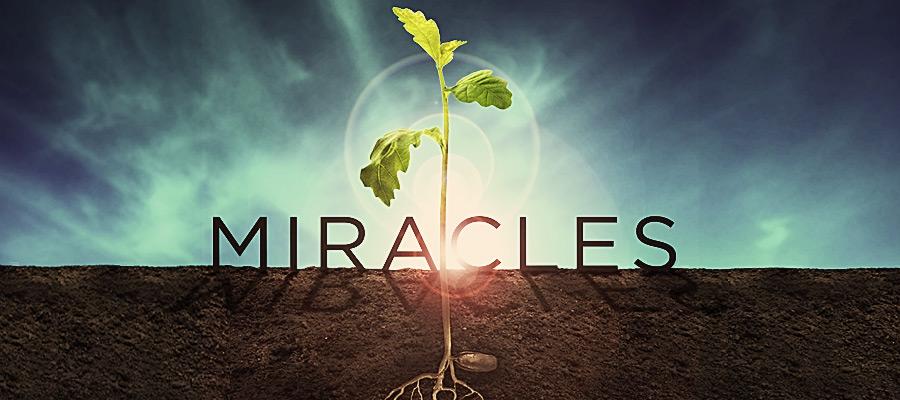 Miracles-Series-Idea by rocketblog
