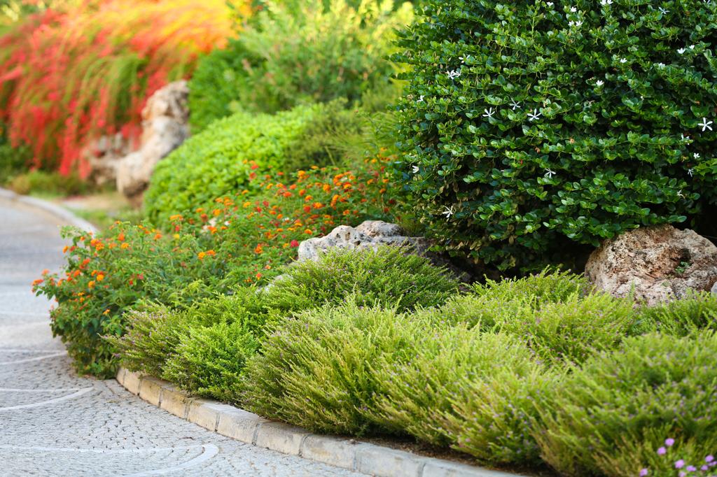  by Chloe's Lawn Care, LLC
