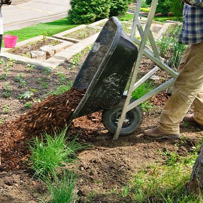  by Chloe's Lawn Care, LLC