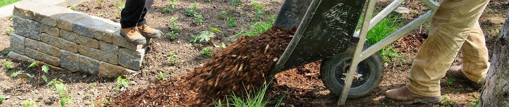  by Chloe's Lawn Care, LLC