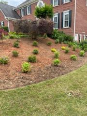  by El Maguey Landscaping services