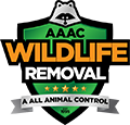 AAAC Wildlife Removal of Florence