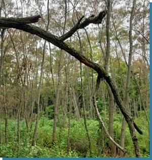  by Lake Country Conservationists