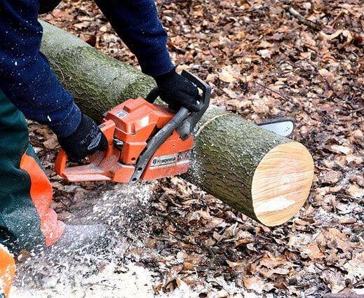  by Wheaton Tree Removal