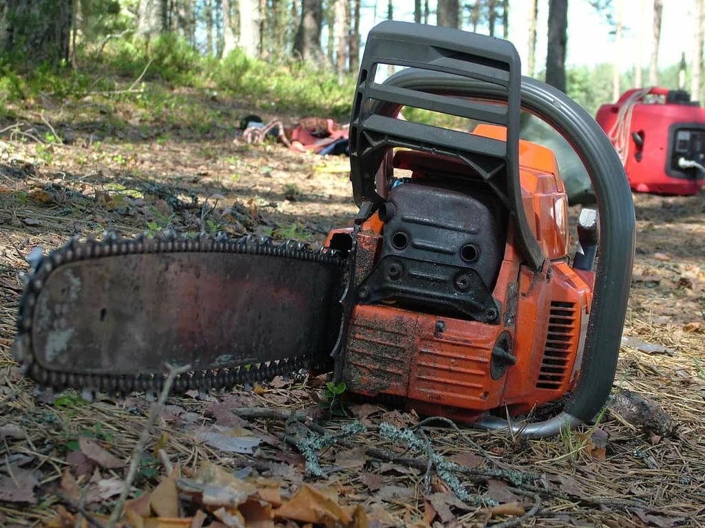  by Wheaton Tree Removal