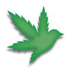Flyhi Cannabis Dispensary - Aurora