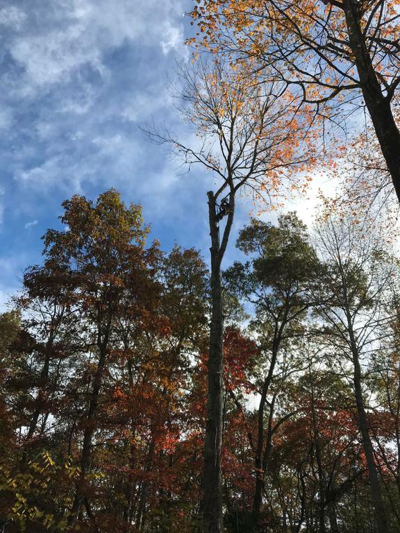  by 3 Brothers Tree Services LLC