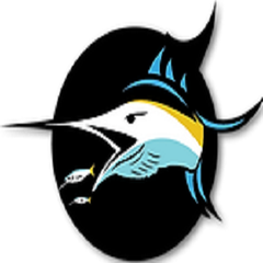 Reel intense fishing charters