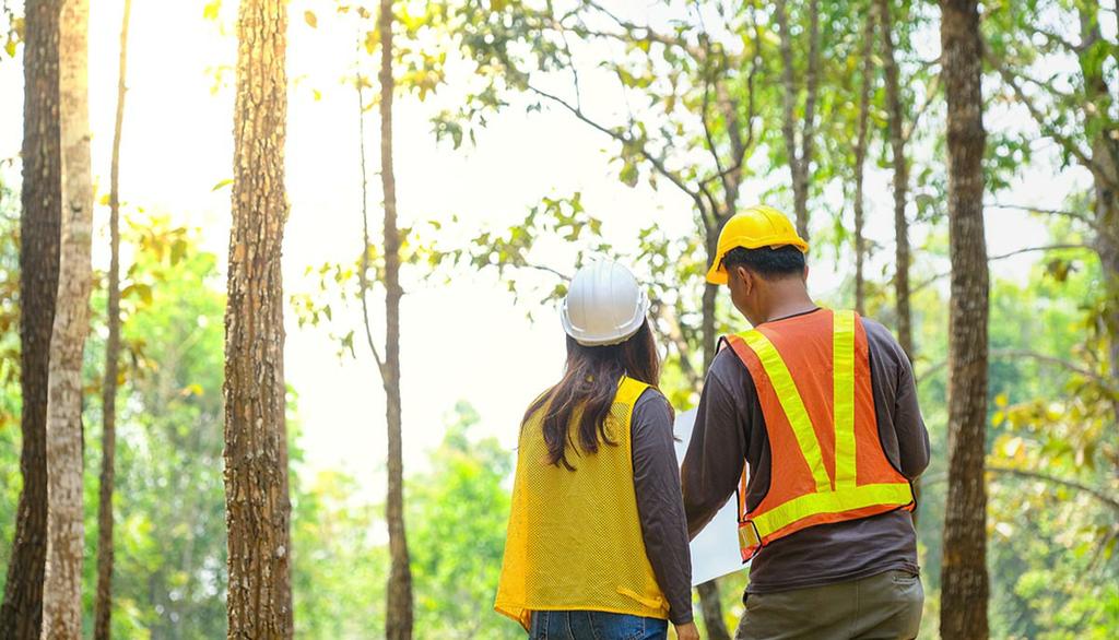  by Oslo TreService - Trefelling Og Trepleie Ekspert