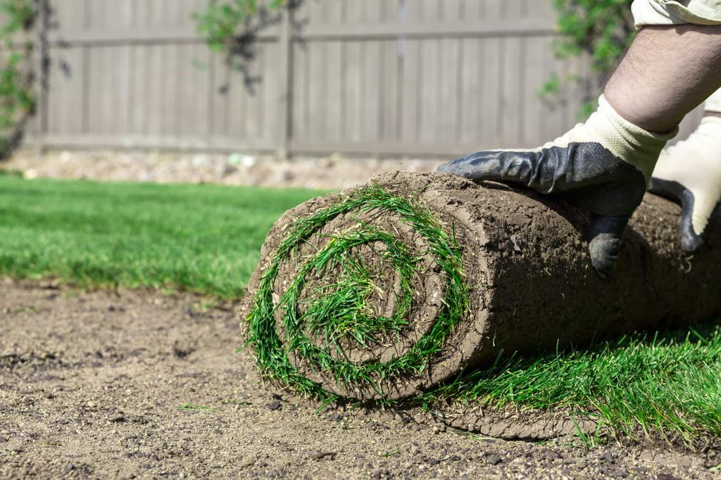  by Diego & Brother's Lawn Care 