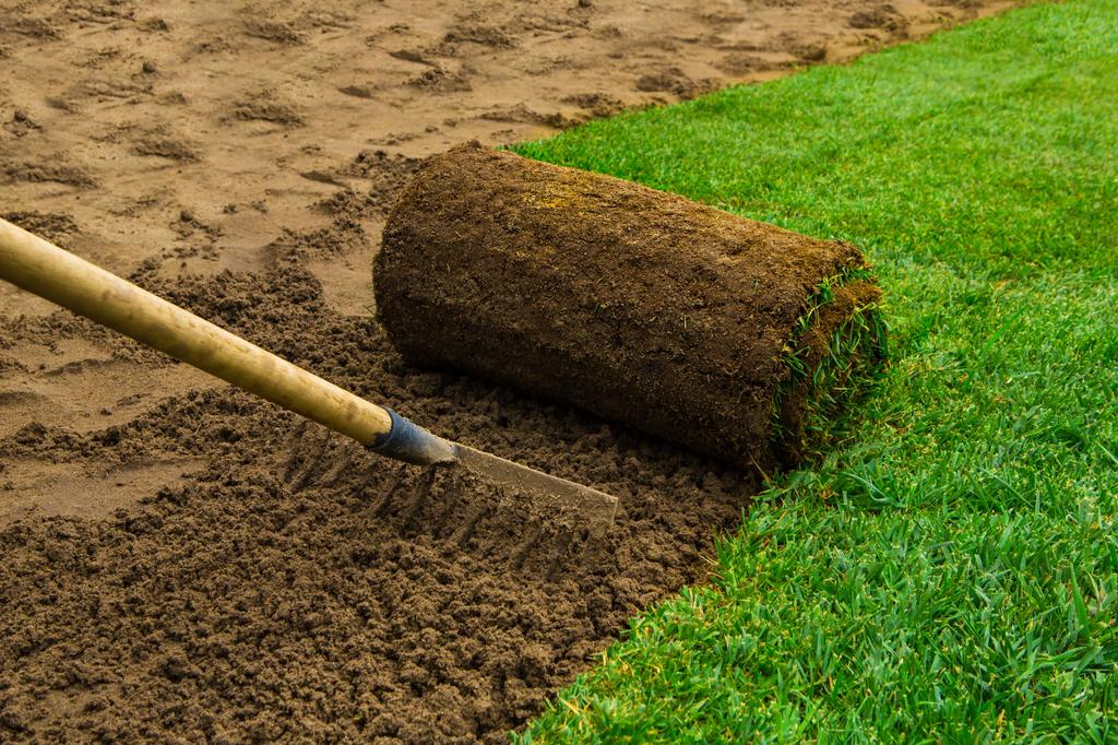  by Diego & Brother's Lawn Care 