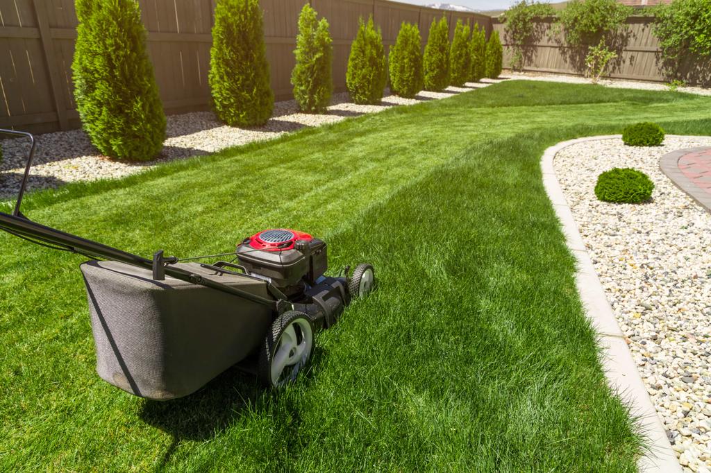  by Diego & Brother's Lawn Care 