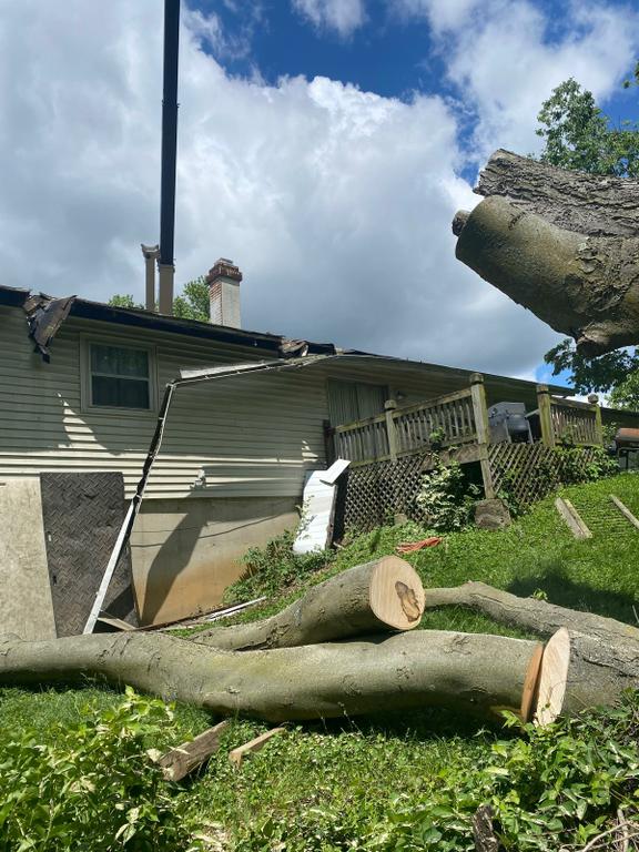  by El Tule Tree Services LLC
