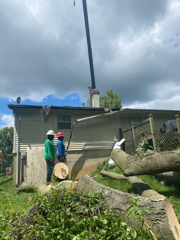  by El Tule Tree Services LLC