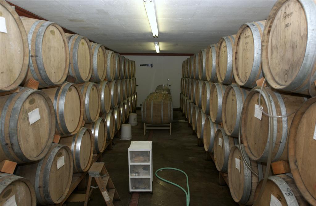 CG_VINEYARD_0167_SM by Cooper-Garrod Estate Vineyards