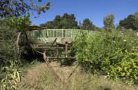 CG_VINEYARD_0225_SM by Cooper-Garrod Estate Vineyards