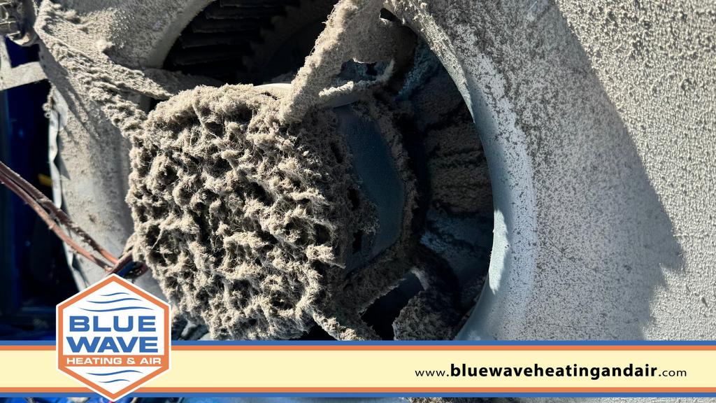 HVAC maintenance program in Leander, TX by Blue Wave Heating and Air LLC