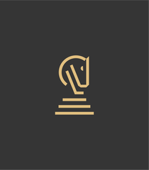 Valor Risk Associates, LLC
