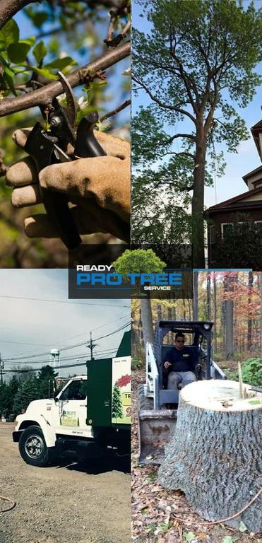  by Ready Pro Tree Service Cherry Hill