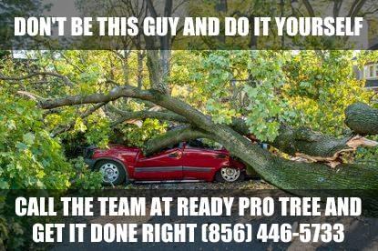  by Ready Pro Tree Service Cherry Hill