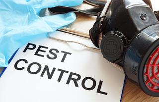 Round Rock Pest Control