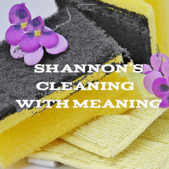 Shannon's Cleaning with Meaning