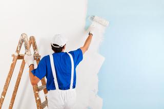 Port St Lucie Painters Pro
