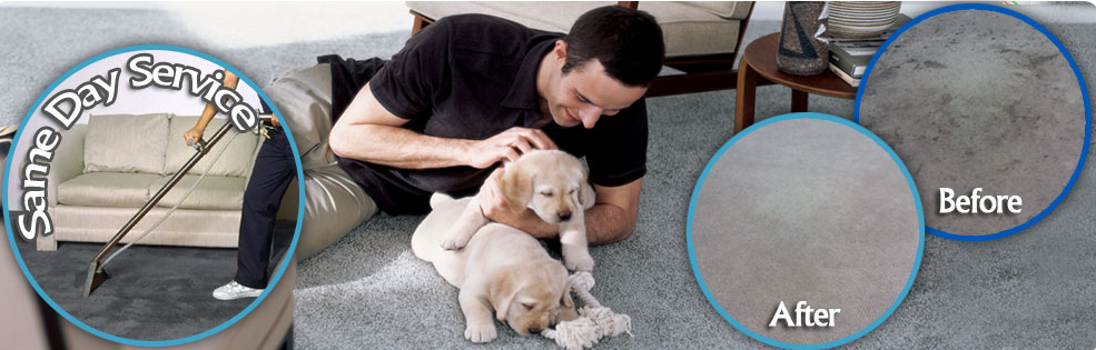  by Carpet Cleaning Dallas