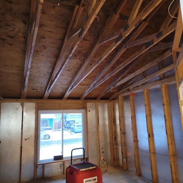  by Absolute Water Damage and Mitigation