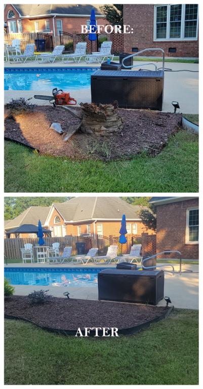  by LW Barnio Tree and Stump Removal