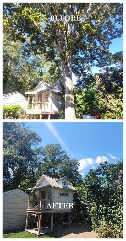  by LW Barnio Tree and Stump Removal