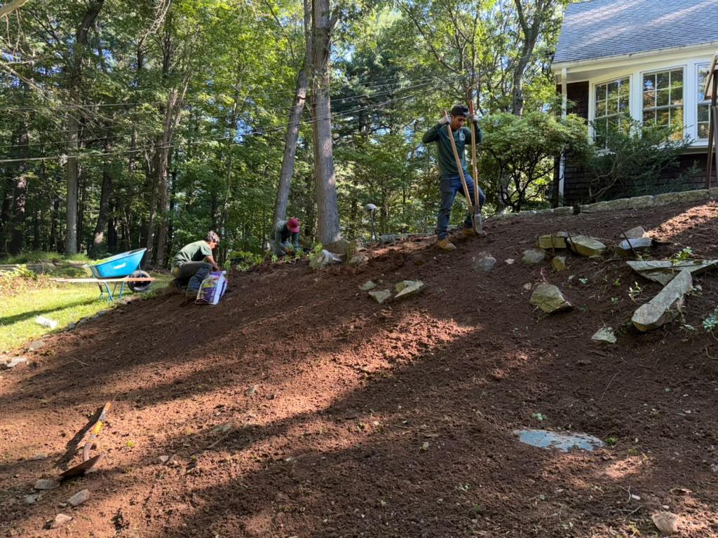 by Professional Master Landscaping LLC