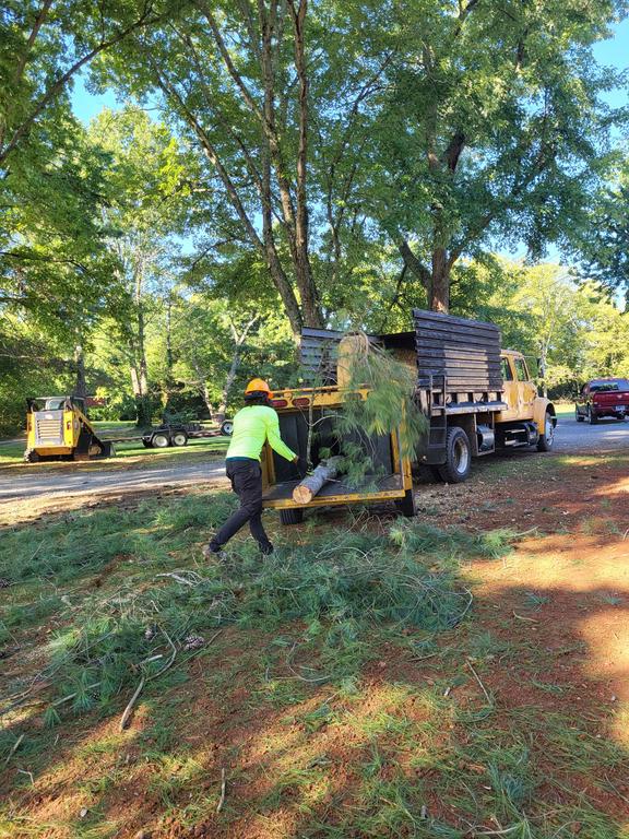  by Antonio's Tree Service